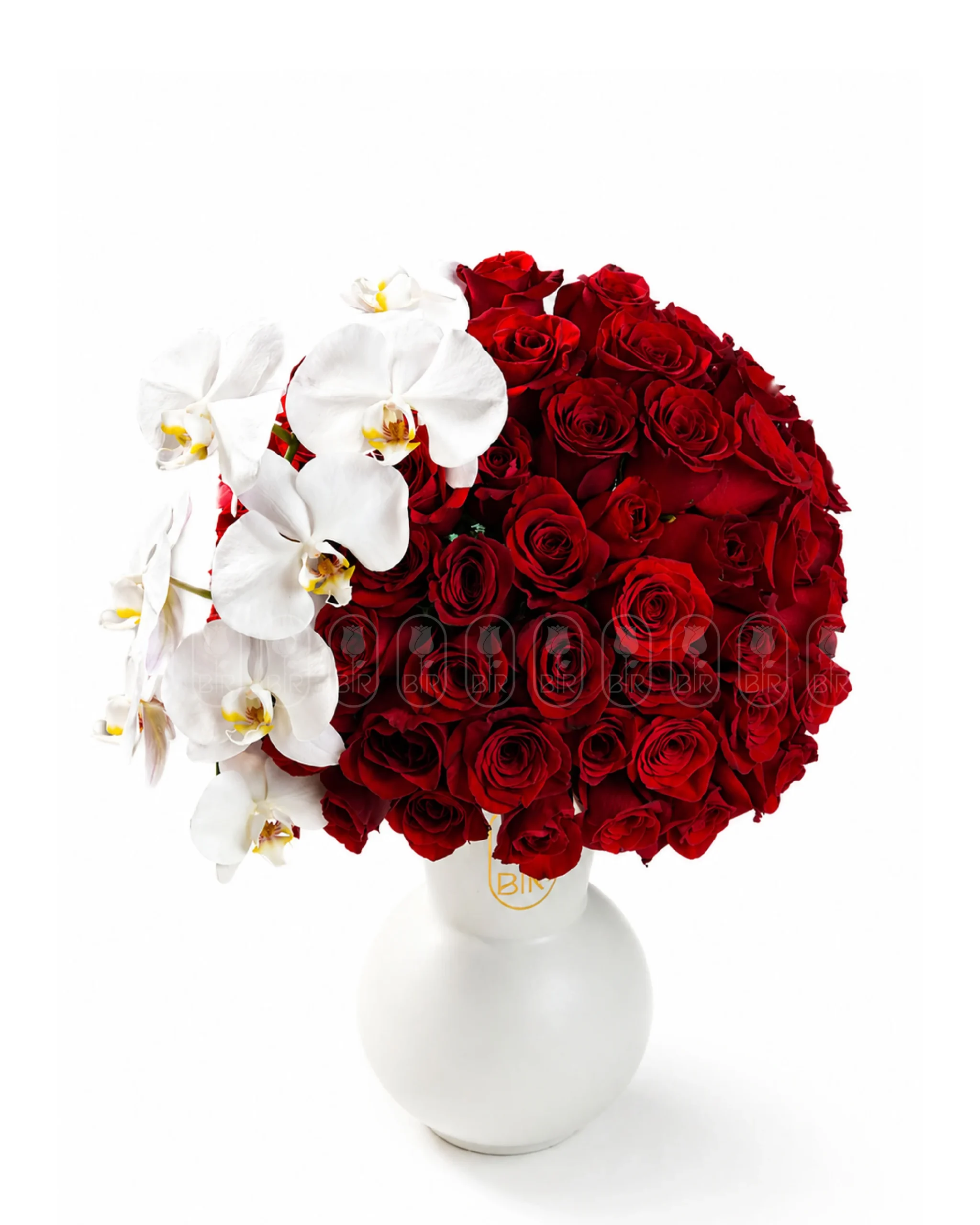 Luxury arrangement of 100 red roses with elegant white orchid flowers in a premium white vase