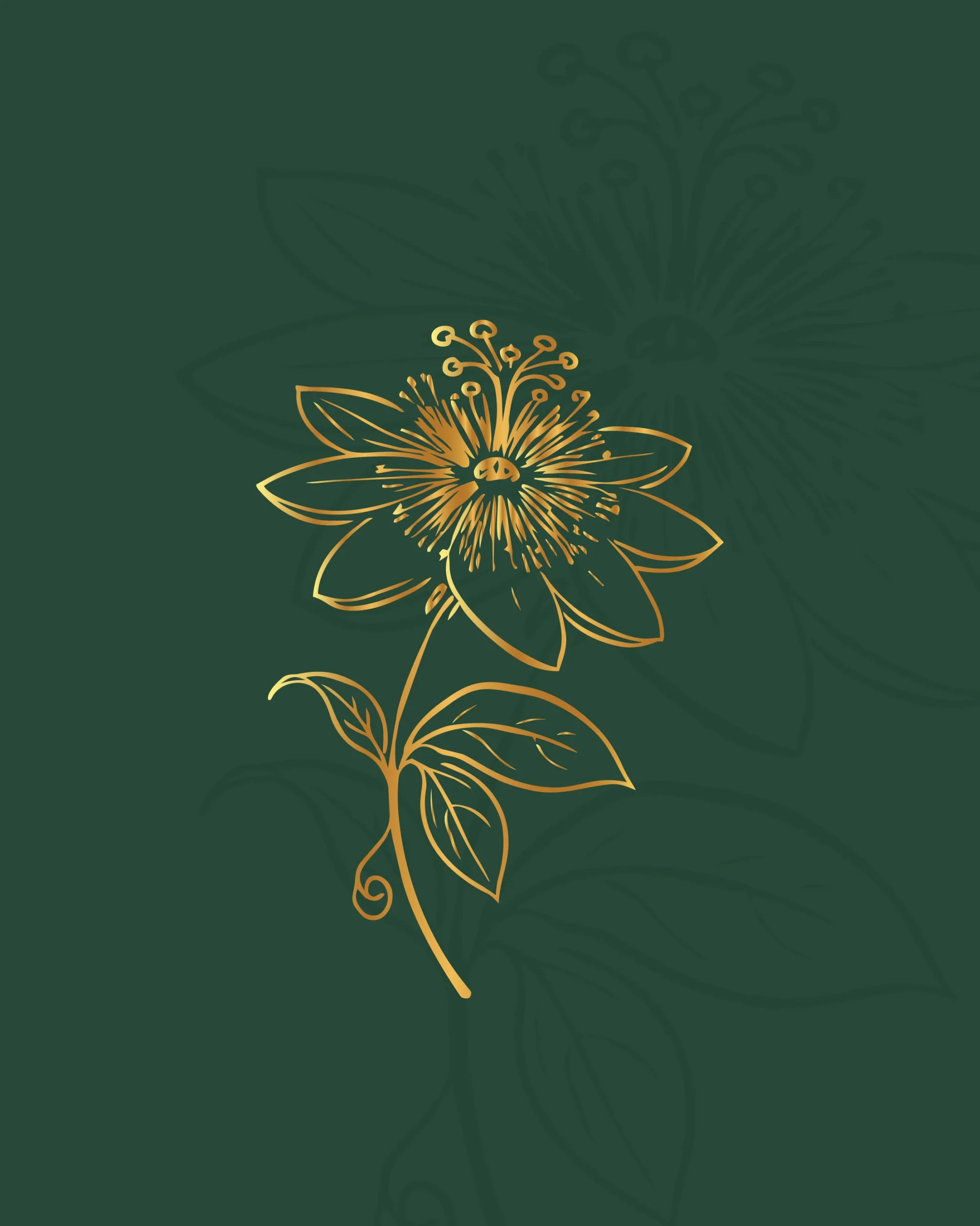 Preserved Flower