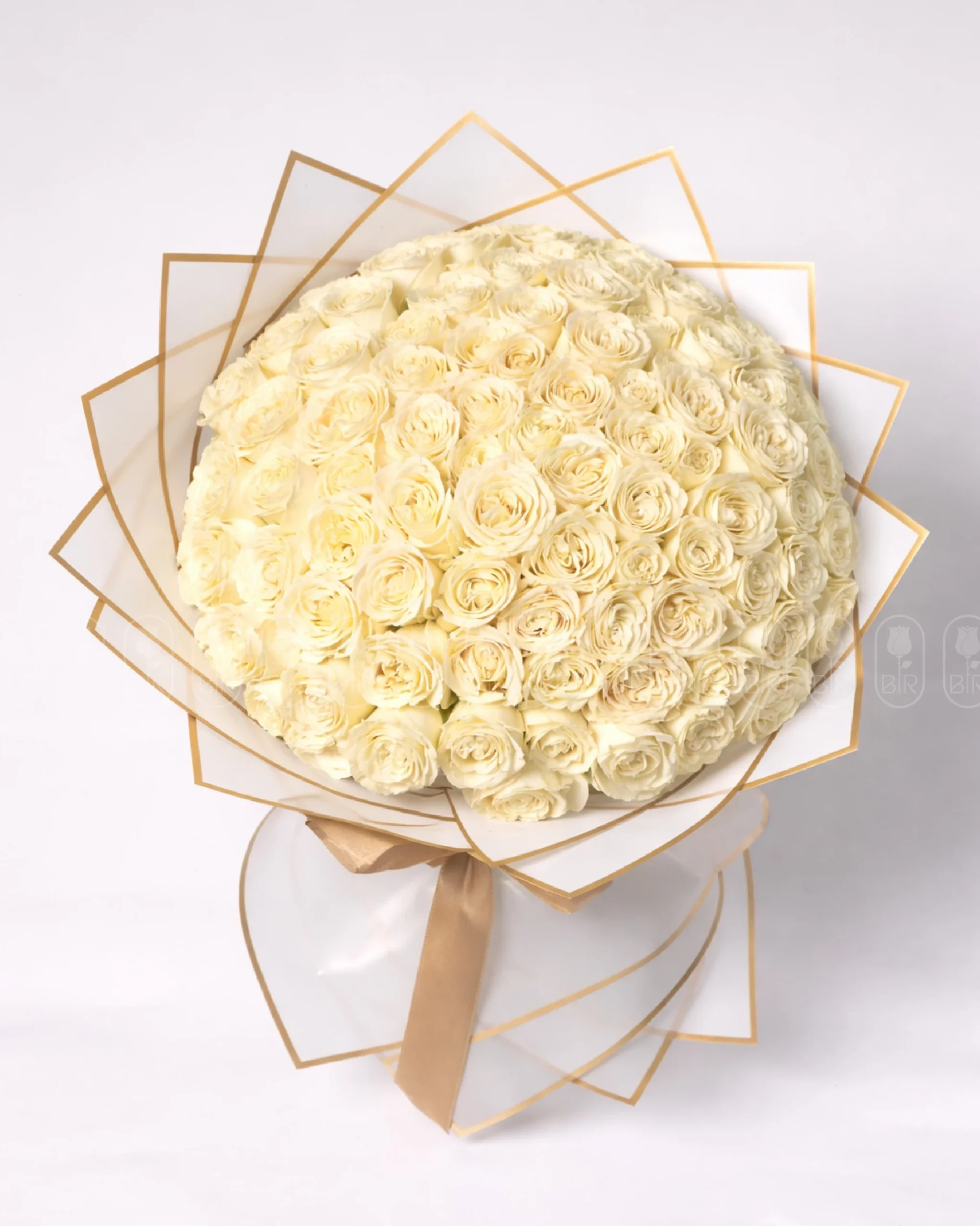 Luxury bouquet of elegant white roses beautifully wrapped in premium white and gold floral paper