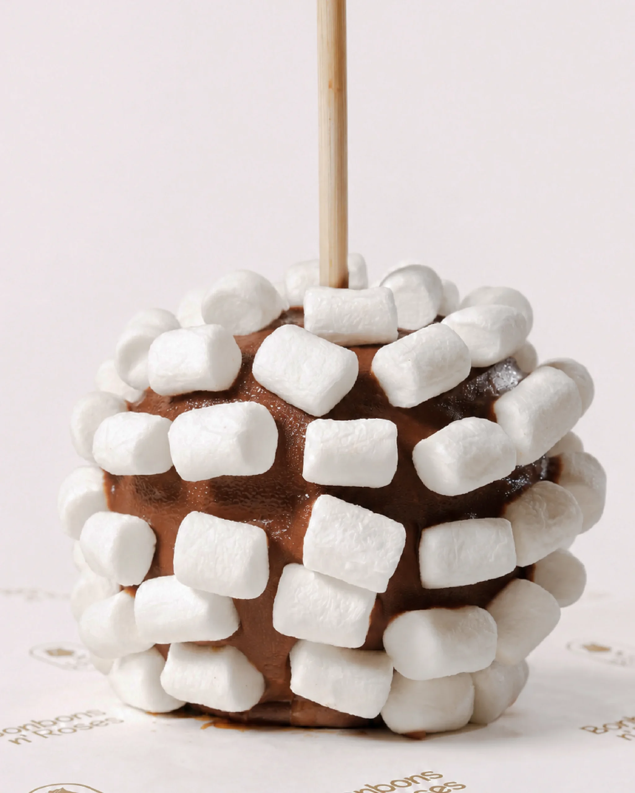 Handcrafted gourmet caramel apple dipped in premium milk chocolate and covered with soft mini marshmallows.